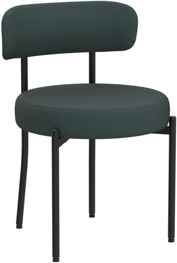 Generic Dining Share and Share for Kitchen Dining Room, Aflastred with all dining share and black legs, Curved with a modern dining chair, Side Share
