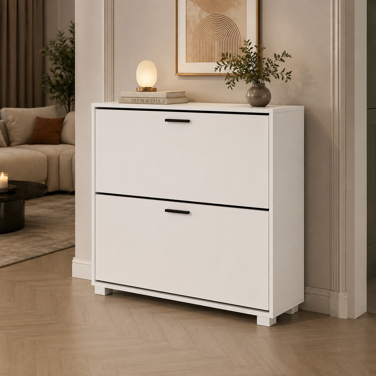 Modern White Shoe Storage Cabinet