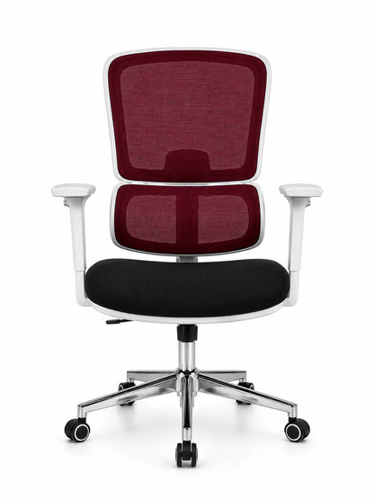 Modern Ergonomic Mesh Office Chair with Adjustable Armrests