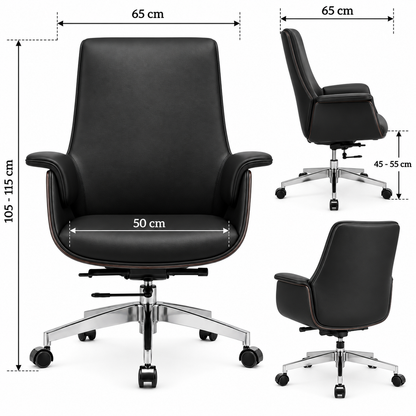 Modern Executive Office Chair with Padded Armrests