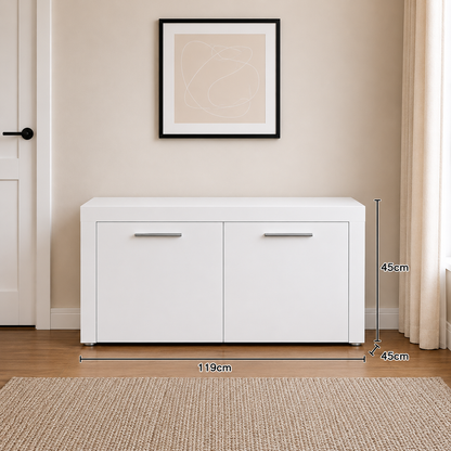 Modern 2-Door Storage Cabinet