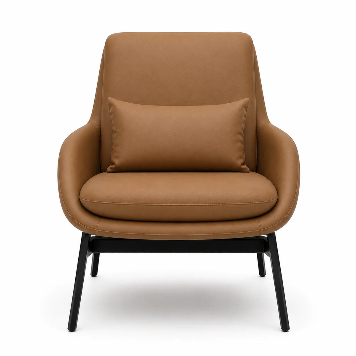 Modern Upholstered Lounge Chair with Accent Cushion