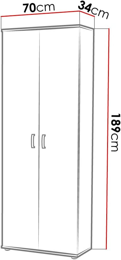 Mirjan24 Terni Wardrobe 2 Door Wardrobe with Insert Panels, Hinged Door Cupboard, Choice of Colours, White, Sonoma (White)