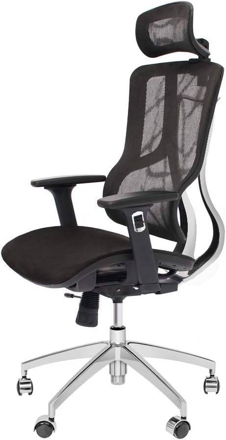 CangLong Executive Chair with 2D Adjustable Headrest, Ergonomic Office Chair with Mesh Seat and High Back, Desk Chair with 3D Armrest, Multifunction for Relaxation, BIFMA Certification No 5.1, Black
