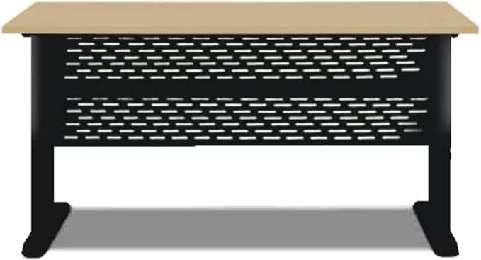 Metal Body Computer Desk