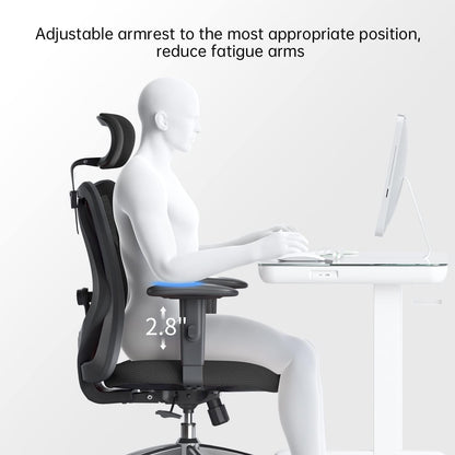 Sihoo Ergonomics Office Chair Computer Chair Desk Chair, AdjUStable Headrests Chair Backrest And Armrest'S Mesh Chair (Black)
