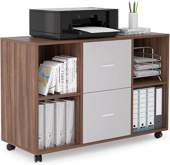 Cabinet on Wheels for Home Office with 2 Drawer & 4 Shelves