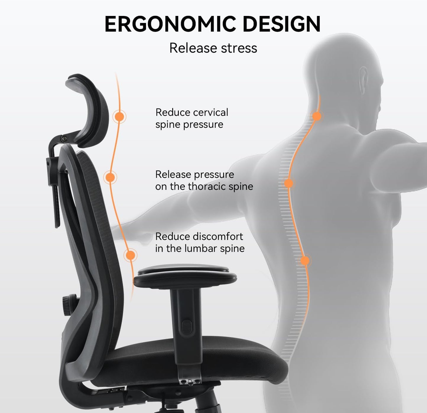 XUER Ergonomics Office Chair Mesh Computer Desk Chair,Adjustable Headrests Chair Backrest and Armrest's Mesh Chair (Black)