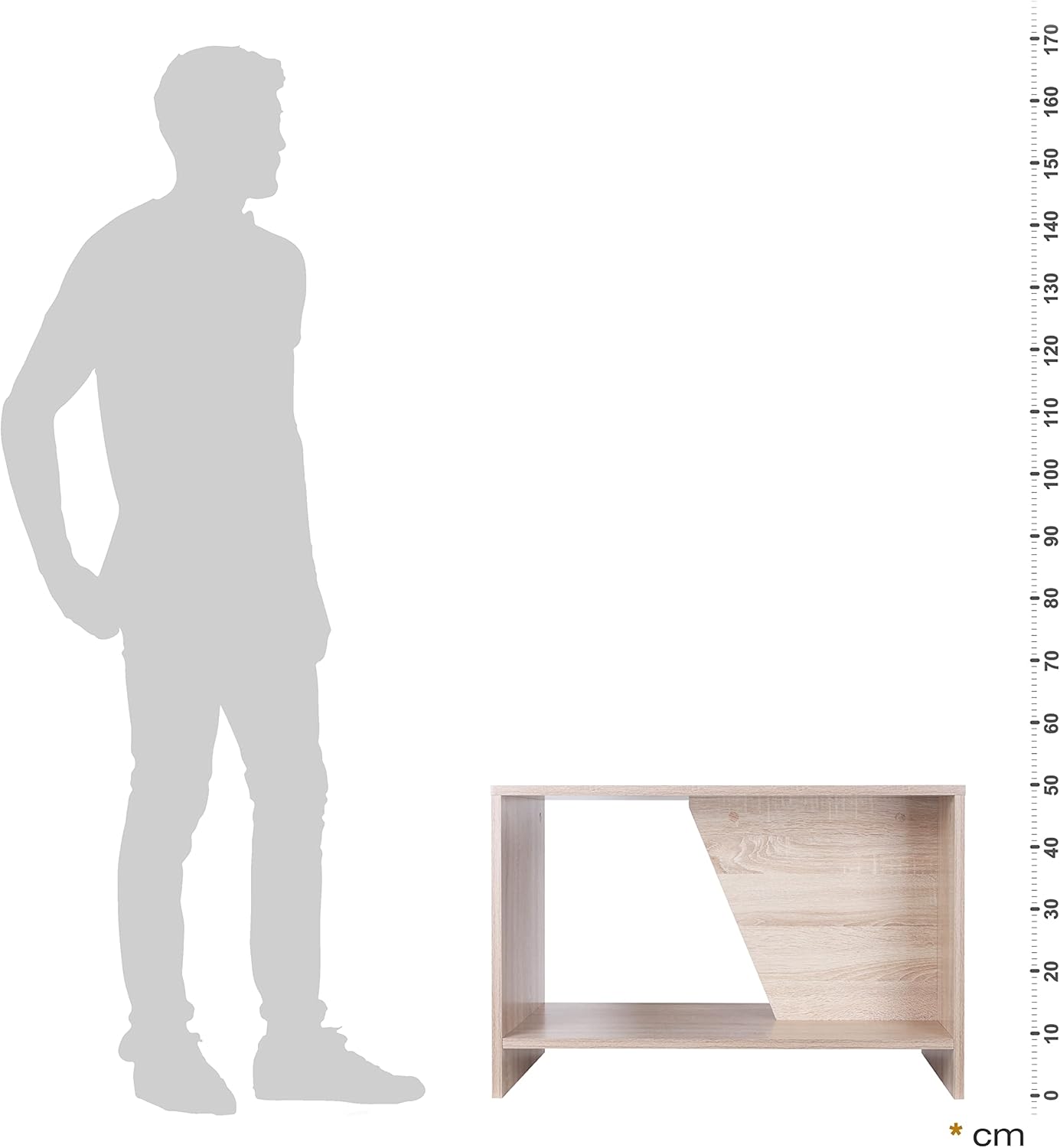 RICOO WM091-ES Coffee Table with Storage Space 75 x 50 x 50 cm Living Room Side Table Oak