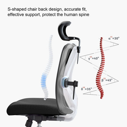 Sihoo Ergonomics Office Chair Computer Chair Desk Chair, AdjUStable Headrests Chair Backrest And Armrest'S Mesh Chair (Black)