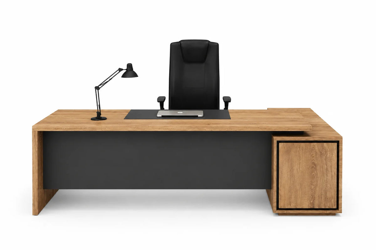 Premium Modern Executive Workstation with Storage