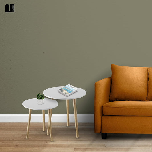 MUBSON Set of 2 Calisto Minimalist Coffee Tables | 48 x 48 cm | Coffee Table for Living Room Decoration | Bedside Table | Buro for Bedroom | MDF Wood Side Tables | Nesting Table
