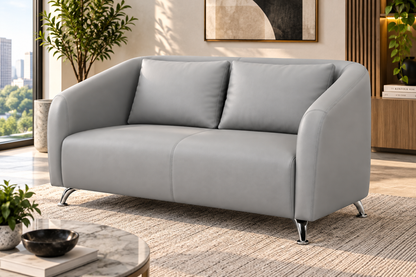 Elegant Contemporary 2-Seater Sofa