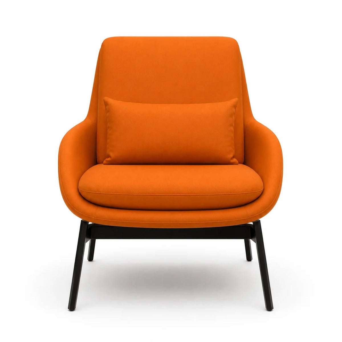 Modern Upholstered Lounge Chair with Accent Cushion